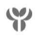 Medizinische Fachangestellte Medizinische Fachangestellte (m/w/d) Radiologie, Essen