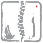 Dr. med. Horst Poimann Neurochirurg - Logo
