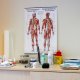 MFA (m/w/d) Innere Medizin / Hämatologie / Onkologie, Jena - 6