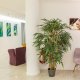 MFA / MTA / MTRA (m/w/d), Frankfurt am Main - 12