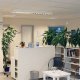 Medizinische Fachangestellte / MFA (m/w/d) in Teilzeit, Erbach Odenwaldkreis - 1